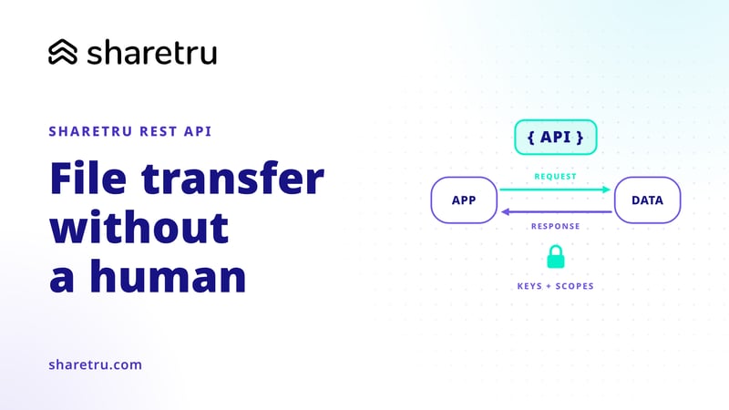 An app and a data store exchanging requests and responses through an API with keys and scopes, illustrating programmatic file transfer