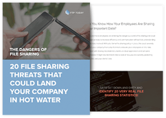 the cover of the "dangers of file sharing: 20 file sharing threats that could land your company in hot water" guide 