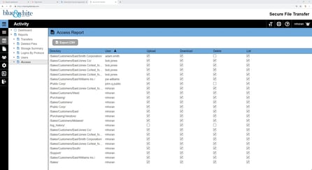 access-report 