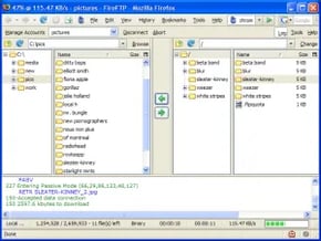 fireftp-300x226