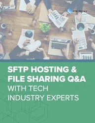 cover of the SFTP Hosting & File Sharing Q&A guide 